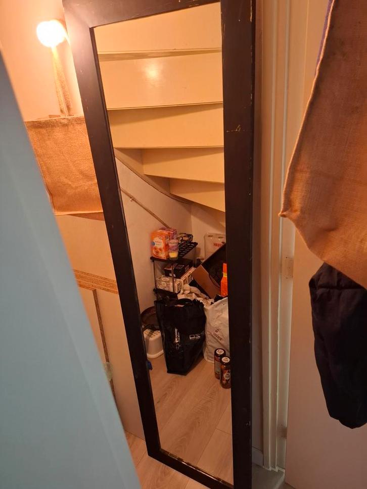 Grote rechthoekige spiegel - 180x50 cm, Huis en Inrichting, Woonaccessoires | Spiegels, Gebruikt, 50 tot 75 cm, 150 tot 200 cm