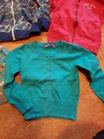 Vest maat 110 van Hema, Ophalen of Verzenden, Gebruikt, Meisje, Trui of Vest