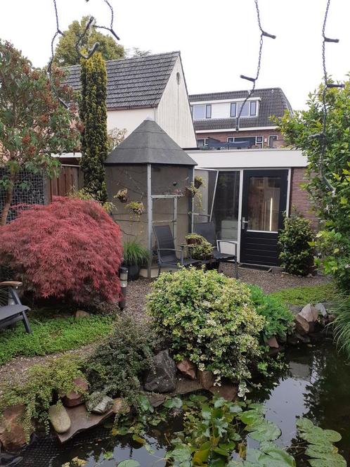 6 kantige buite volière, Huizen en Kamers, Kamers te huur