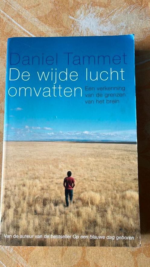 Daniel Tammet - De wijde lucht omvatten, Boeken, Psychologie, Zo goed als nieuw, Ophalen of Verzenden