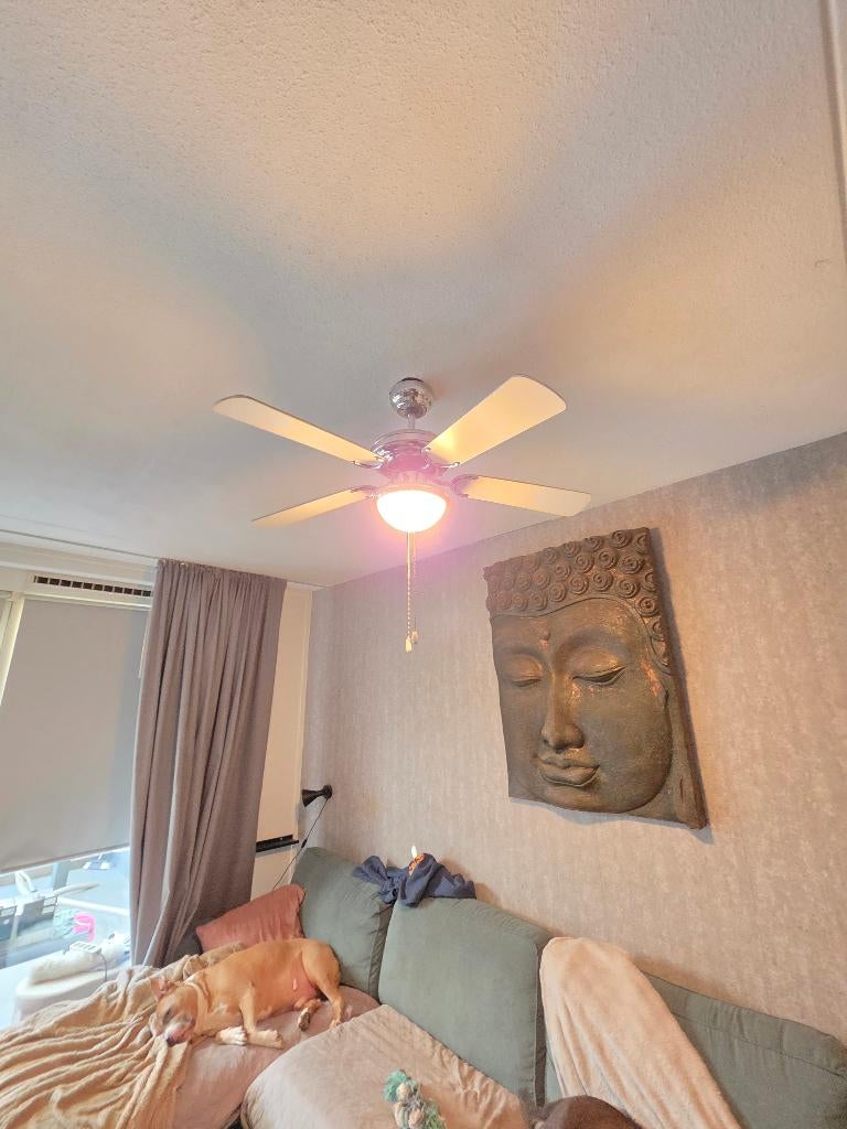 Ventilator, Ophalen, Gebruikt, Plafondventilator