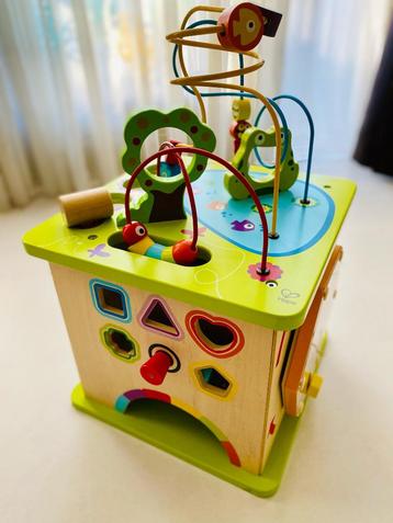 Hape E1810 | motoriekubus kleine dieren, van hout beschikbaar voor biedingen