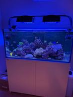 Red Sea Reefer XL 425 liter G1 met veel toebehoren tank, Dieren en Toebehoren, Ophalen, Zo goed als nieuw, Leeg aquarium