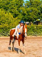 bijrijder aangeboden!, Dieren en Toebehoren, Ophalen, Nieuw