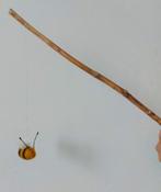 Wollen bijtje op stokje antroposofisch waldorf wol traktatie, Ophalen of Verzenden, Nieuw