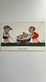 patiënt (gewonde hond,poot in verband)in wandelwagen.J.WILLS, Ophalen of Verzenden, Ongelopen, Overige thema's