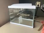 Aquarium Superfish Start 30 Tropical wit | opt. accessoires!, Dieren en Toebehoren, Vissen | Aquaria en Toebehoren, Ophalen, Zo goed als nieuw