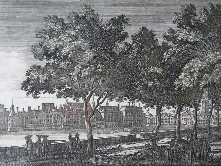 Ets zicht op Buitenhof en Hofvijver Den Haag, P. Schenk 1695, Antiek en Kunst, Kunst | Etsen en Gravures, Verzenden