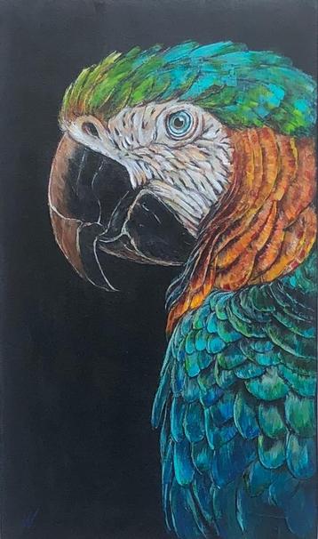 Schilderij Ara, Papagaai op hout beschikbaar voor biedingen