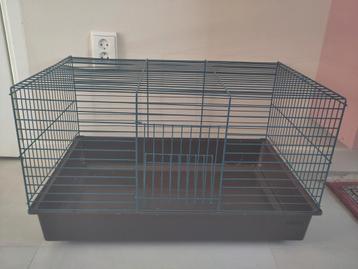 Cavia kooi beschikbaar voor biedingen