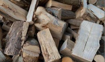 Brandhout/Haardhout  beschikbaar voor biedingen