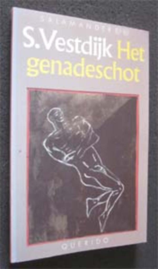 Simon Vestdijk : Het genadeschot, Boeken, Literatuur, Zo goed als nieuw, Nederland, Ophalen of Verzenden