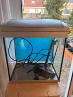 Aquarium, Dieren en Toebehoren, Vissen | Aquaria en Toebehoren, Ophalen of Verzenden, Zo goed als nieuw, Leeg aquarium