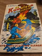De Kameleon in 't Zoeklicht - H. de Roos, Ophalen of Verzenden, Gelezen, H. de Roos, Fictie algemeen