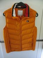 Tommy Hilfiger bodywarmer maat 176., Ophalen of Verzenden, Tommy Hilfiger, Jongen of Meisje, Jas