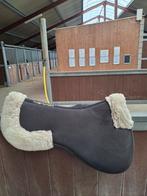 Kentucky zadelonderlegger, Ophalen