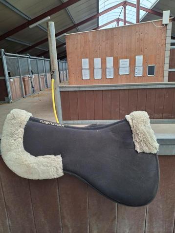 Kentucky zadelonderlegger  beschikbaar voor biedingen