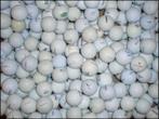 Bulkpartij 800 lakeballs / golfballen AAA+ bekende merken, Overige merken, Bal(len), Ophalen of Verzenden, Zo goed als nieuw