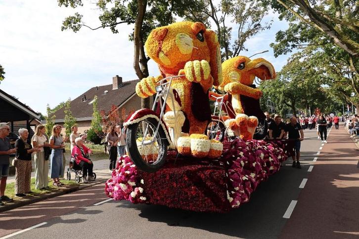Optocht/corso wagen, Hobby en Vrije tijd, Feestartikelen | Verhuur, Zo goed als nieuw, Carnaval, Ophalen