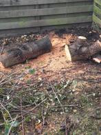Fruitbomenhout gratis op te halen in Coevorden., Minder dan 3 m³, Ophalen, Overige houtsoorten, Stammen