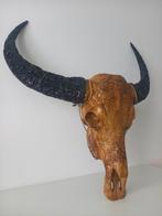 Grote skulls bull longhorn schedel kunststof draak, Zo goed als nieuw, Ophalen