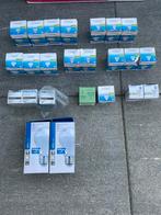 Lampjes voor spotjes 12 volt, Ophalen of Verzenden, Nieuw