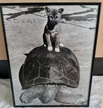 Tk Schilderij, Ophalen of Verzenden