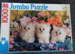 * Puzzel Jumbo ‘Kattenmandje’ 1000 stukjes *, Hobby en Vrije tijd, Denksport en Puzzels, Ophalen of Verzenden, 500 t/m 1500 stukjes