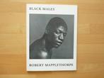 Black Males Robert Mapplethorpe, Ophalen of Verzenden, Zo goed als nieuw, Fotografen