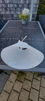 Beschermkraag hond, Dieren en Toebehoren, Ophalen, Gebruikt