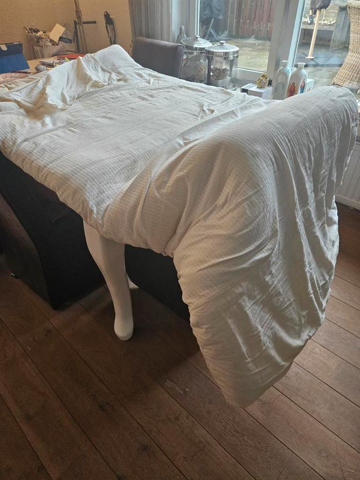 Shiatsu mat / futon - weinig gebruikt, Sport en Fitness, Massageproducten, Zo goed als nieuw, Massagestoel of Kussen, Ophalen of Verzenden