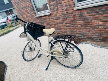 Avalon  beschikbaar voor biedingen