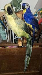 Twee nep papegaaien, Ophalen of Verzenden