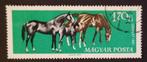 MAGYAR POST (Hongarije) - paardensport 1961, Postzegels en Munten, Postzegels | Europa | Hongarije, Verzenden, Gestempeld