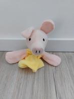 Knuffel handpop varken kikker vriendjes max velthuijs K9469, Ophalen of Verzenden, Zo goed als nieuw, Kikker