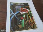 FOTOANSICHT TJALF SPARNAAY1985 TULPEN UIT AMSTERDAM 2, Ophalen of Verzenden, Voor 1940