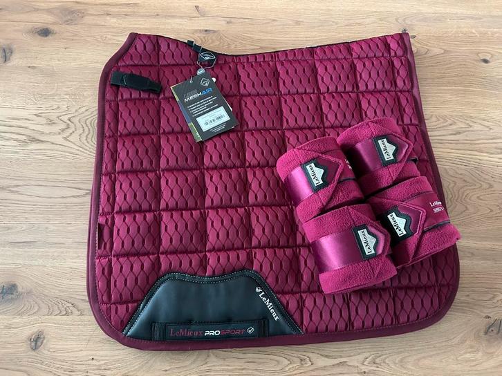 Prachtige nieuwe lemieux mesh set, Dieren en Toebehoren, Paarden en Pony's | Dekens en Dekjes, Nieuw, Dekje, Ophalen of Verzenden