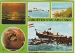 AMELAND Avond Zeehond Veerboot Reddingsboot Groeten, Verzamelen, Ansichtkaarten | Nederland, 1960 tot 1980, Ongelopen, Waddeneilanden