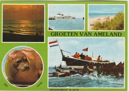 AMELAND Avond Zeehond Veerboot Reddingsboot Groeten, Verzamelen, Ansichtkaarten | Nederland, Ongelopen, Waddeneilanden, 1960 tot 1980