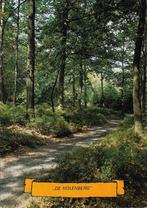 Ansichtkaart	Schaijk	De Holenberg	Kampeercentrum	bosweg, Verzenden, 1980 tot heden, Gelopen, Noord-Brabant