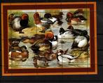 guine bissau 2001 pf blok eenden ducks vogels birds, Postzegels en Munten, Postzegels | Thematische zegels, Ophalen of Verzenden