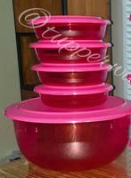 Tupperware Exclusieve kommen set (5) 6L + 4x350ml voorraad, Huis en Inrichting, Keuken | Tupperware, Ophalen of Verzenden, Nieuw