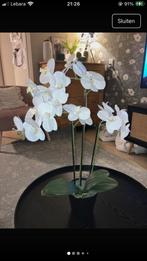 Kunstorchidee, Ophalen of Verzenden, Zo goed als nieuw