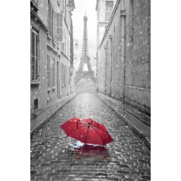 Diamond Painting Eiffeltoren met rode paraplu 30x40 vierkant