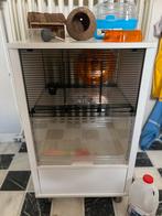 Hamsterkooi, Dieren en Toebehoren, Knaagdieren en Konijnen | Hokken en Kooien, Kooi, Minder dan 75 cm, Zo goed als nieuw, Ophalen