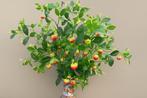 Lampionplant Kunsttak – Warm Rood –110 cm -boeket -decoratie, Binnen, 3811JM, Info@rodebeagle.nl, Rode Beagle kunstbloemen