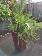 2 bloem poten, Tuin en Terras, Bloembakken en Plantenbakken, Ophalen, Tuin, Steen, Gebruikt