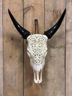Gegraveerde koe schedel, Ophalen of Verzenden, Nieuw, Overige soorten, Schedel