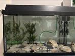 aquarium met een goudvis, Dieren en Toebehoren, Vissen | Aquaria en Toebehoren, Ophalen of Verzenden, Zo goed als nieuw