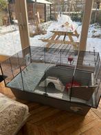 Hamsterkooi met accessoires, Kooi, Minder dan 75 cm, Zo goed als nieuw, Hamster